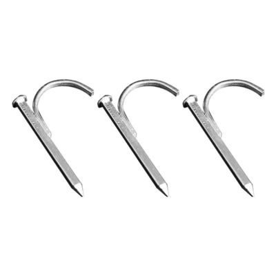 quality  High Hardness Galvanized Pipe Hook Nails Support Customization factory